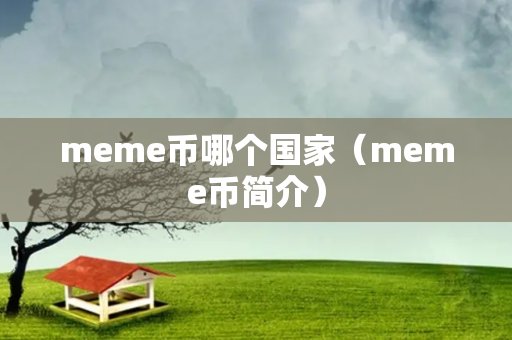 meme币哪个国家（meme币简介）