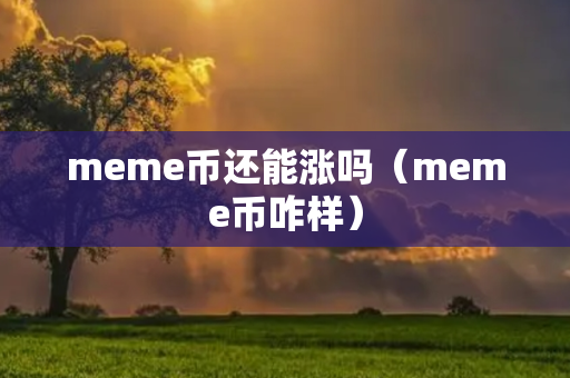 meme币还能涨吗（meme币咋样）