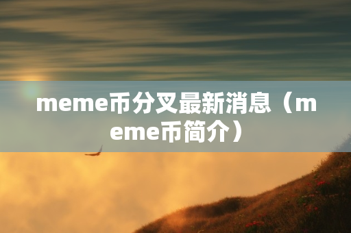 meme币分叉最新消息（meme币简介）