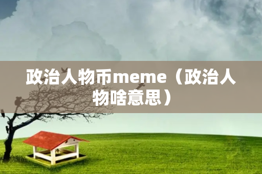 政治人物币meme（政治人物啥意思）