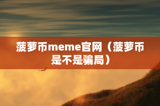 菠萝币meme官网（菠萝币是不是骗局）