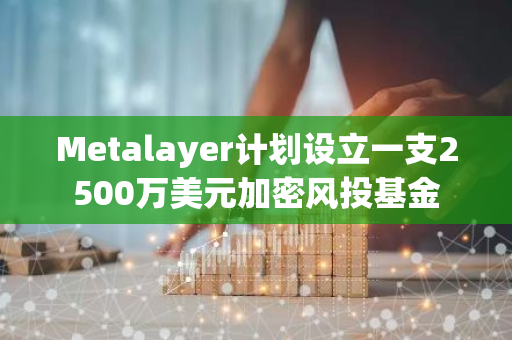 Metalayer计划设立一支2500万美元加密风投基金