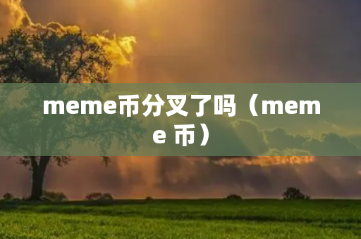 meme币分叉了吗（meme 币）