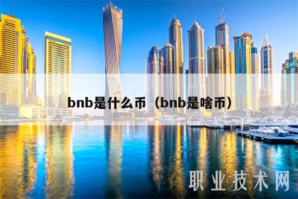 bnb是什么币（bnb是啥币