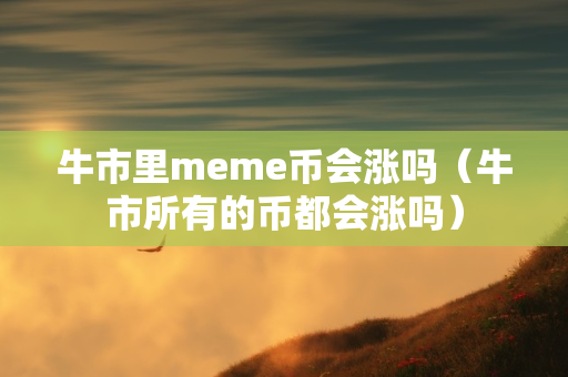 牛市里meme币会涨吗（牛市所有的币都会涨吗）