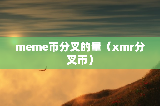 meme币分叉的量（xmr分叉币）