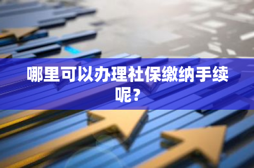 哪里可以办理社保缴纳手续呢？