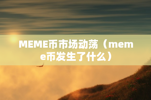 MEME币市场动荡（meme币发生了什么）