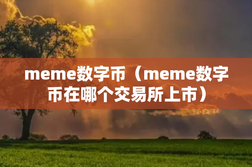 meme数字币（meme数字币在哪个交易所上市）