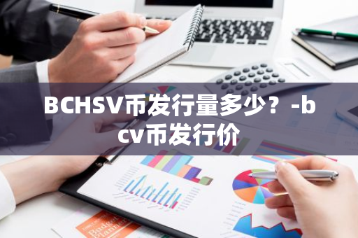 BCHSV币发行量多少？-bcv币发行价