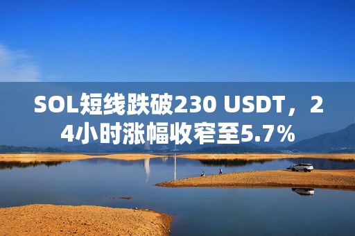 SOL短线跌破230 USDT，24小时涨幅收窄至5.7%