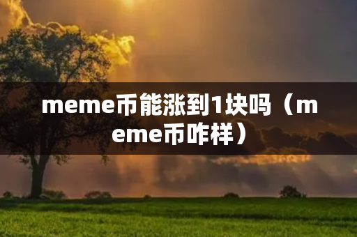 meme币能涨到1块吗（meme币咋样）