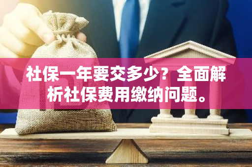 社保一年要交多少？全面解析社保费用缴纳问题。