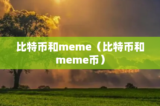 比特币和meme（比特币和meme币）