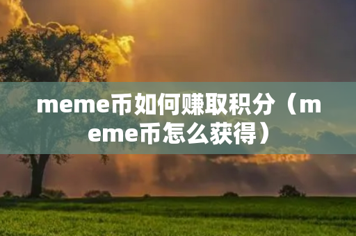 meme币如何赚取积分（meme币怎么获得）