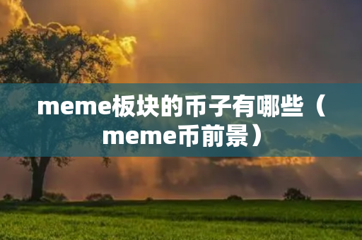 meme板块的币子有哪些（meme币前景）