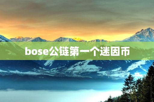 bose公链第一个迷因币