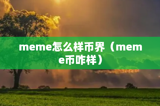 meme怎么样币界（meme币咋样）