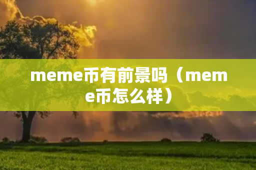 meme币有前景吗（meme币怎么样）