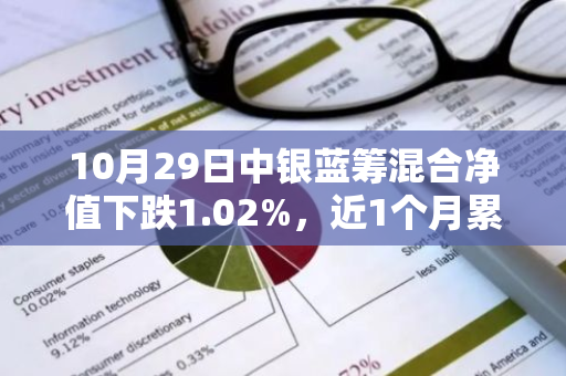 10月29日中银蓝筹混合净值下跌1.02%，近1个月累计上涨1.46%