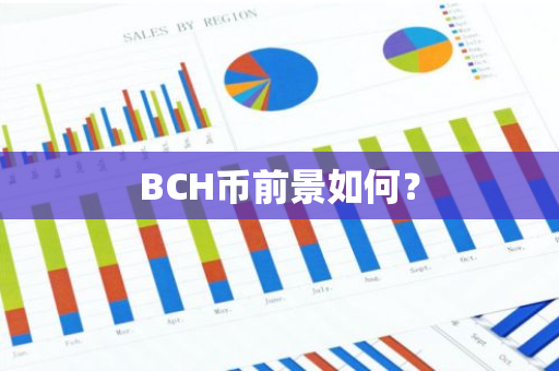 BCH币前景如何？