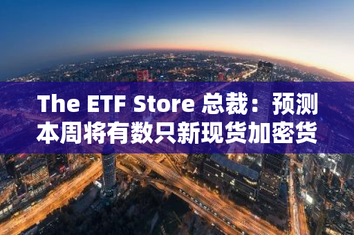 The ETF Store 总裁：预测本周将有数只新现货加密货币 ETF 申请