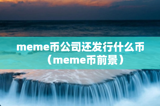 meme币公司还发行什么币（meme币前景）