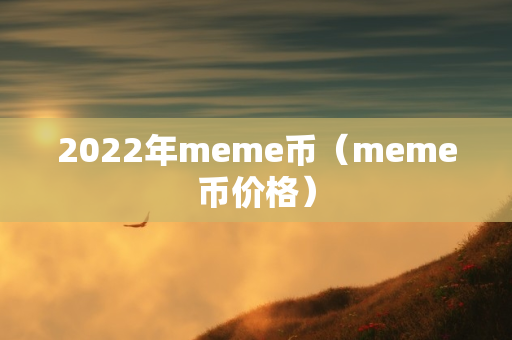 2022年meme币（meme币价格）