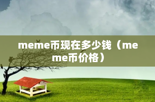 meme币现在多少钱（meme币价格）