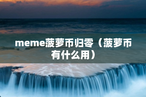 meme菠萝币归零（菠萝币有什么用）