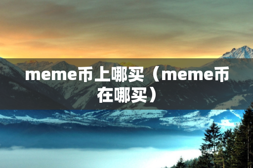 meme币上哪买（meme币在哪买）