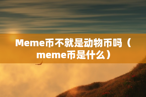 Meme币不就是动物币吗（meme币是什么）