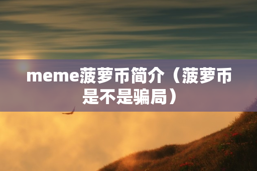 meme菠萝币简介（菠萝币是不是骗局）