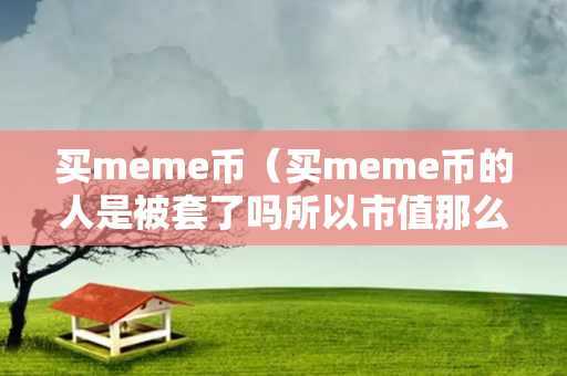 买meme币（买meme币的人是被套了吗所以市值那么高）