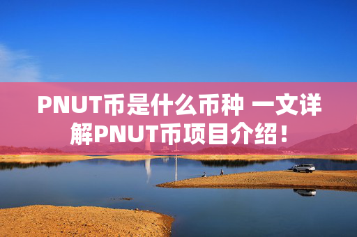 PNUT币是什么币种 一文详解PNUT币项目介绍！