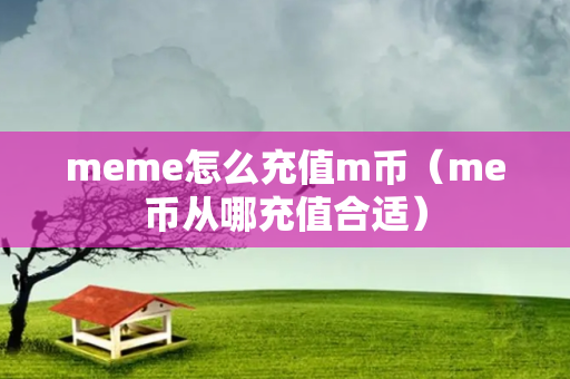 meme怎么充值m币（me币从哪充值合适）