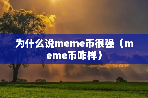 为什么说meme币很强（meme币咋样）