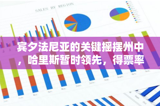 宾夕法尼亚的关键摇摆州中，哈里斯暂时领先，得票率高达51.2%