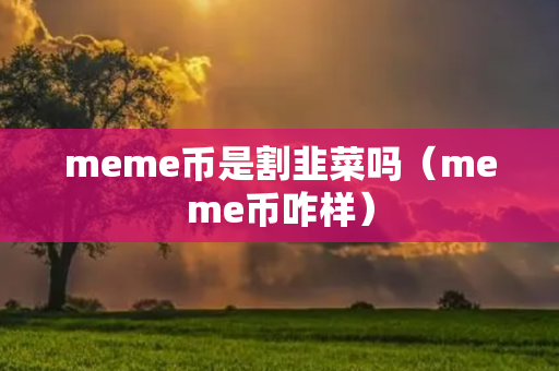 meme币是割韭菜吗（meme币咋样）