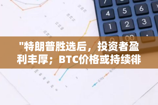 "特朗普胜选后，投资者盈利丰厚；BTC价格或持续徘徊在心理关口以下"