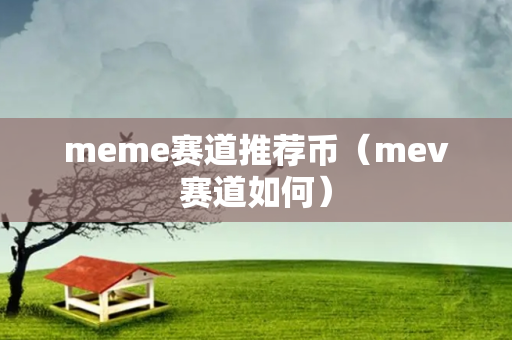 meme赛道推荐币（mev赛道如何）