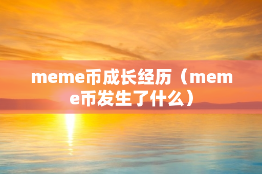 meme币成长经历（meme币发生了什么）