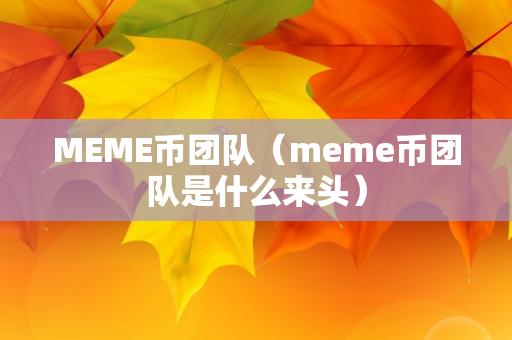 MEME币团队（meme币团队是什么来头）