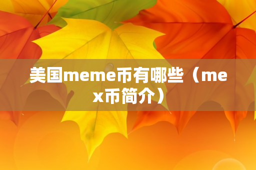 美国meme币有哪些（mex币简介）