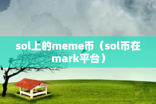 sol上的meme币（sol币在mark平台）