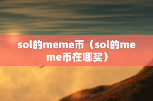 sol的meme币（sol的meme币在哪买）