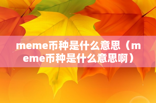 meme币种是什么意思（meme币种是什么意思啊）