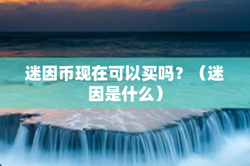 迷因币现在可以买吗？（迷因是什么）