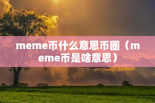 meme币什么意思币圈（meme币是啥意思）