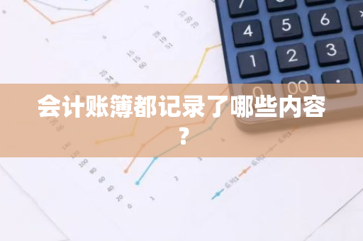 会计账簿都记录了哪些内容？